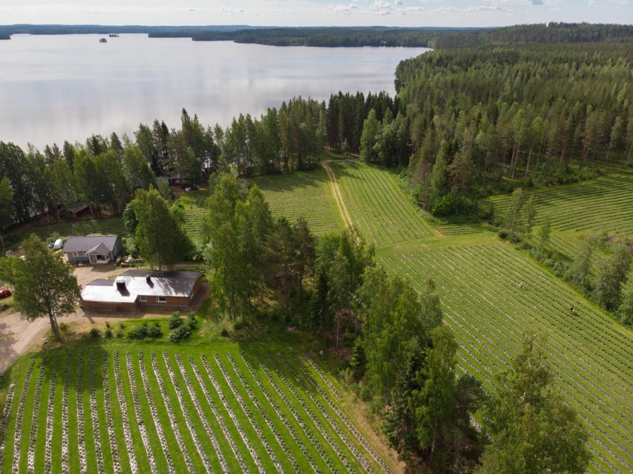 Vila Hiekkarannanlomat Kannonkoski Exteriér fotografie